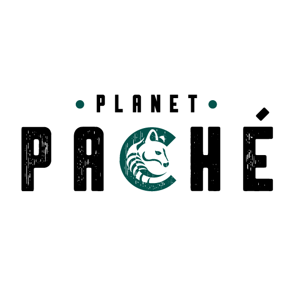 Planet Paché logo design